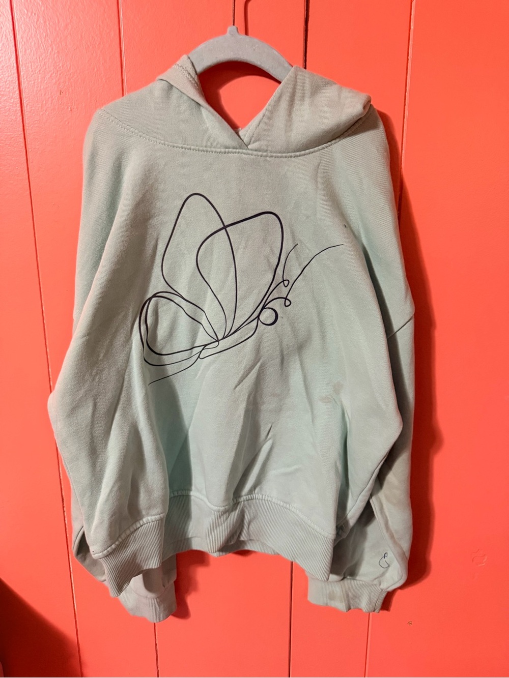 Light Green Hoodie Sweater with Minimal Butterfly Graphic